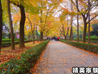 关于自己写的，喜欢格是一好好的优美句子