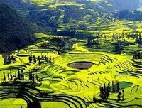 关于易家扬名言大全