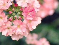 最全的《你是我的独家记忆》经典句子