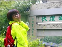 《竹林之林》的句子