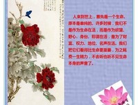 独爱经典的句子
