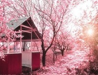 等风来的句子