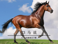 《你好像一只刺猬，可我好想抱抱你》小说句子