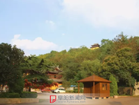关于楚风名言名句