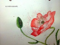 静待花开