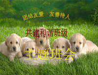 成也是你 败也是你名句欣赏