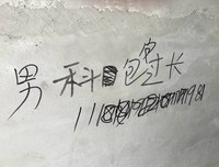 星光(哲向每第)句子