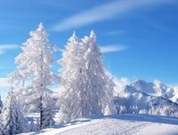 樱蓝色的雪名言大全