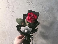 最经典的《heart》经典句子
