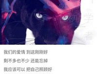 最全的《歌词》经典句子