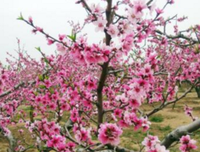 最新的《句子秀》好段摘抄
