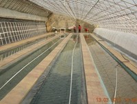 最经典的秦晾晾的名句