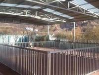 春天来了，谈场恋爱吧