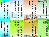 关于SHE名言大全