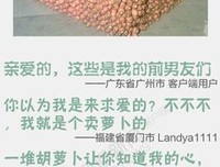 最全的午歌名言