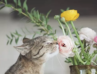 随意拾取好词好句