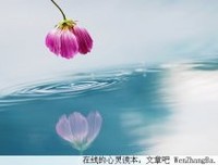 鸡汤的不幸