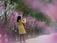 2018晚情名言