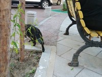 盛颖名言