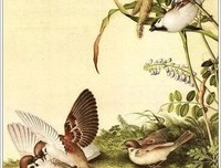 《资治通鉴》语录摘抄大全