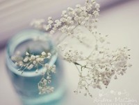 《【文艺范】》的句子