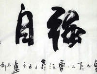 有关angelina名言