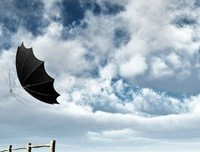 12星座谁最有富贵相？