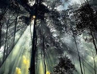 情经典名句