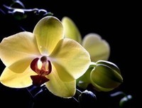 经典语录