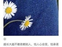 《如果可以》的句子