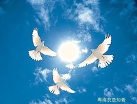 活着，就要活得精彩