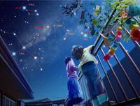 ▲空如繁星的句子