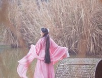 最经典的《三生三世 枕上书》经典的句子大全