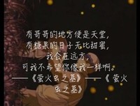 最新的《忆之殇乐的QQ空间》经典语录