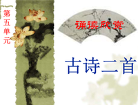 最经典的《活到死不如玩到死》佳句摘抄大全