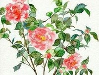 最新的《系统着大比物我非良人》经典语句