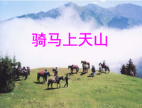 关于雪肆的语句