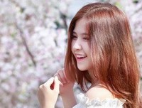 集我所爱句子