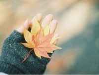 万事具备，只欠爱情