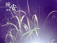 关于木木心情的句子