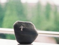 最经典的《尘曲》小说摘抄大全