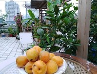 云唐不喜好词好句