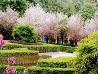 a part of me句子
