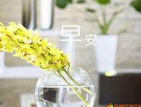 关于六月风的语句