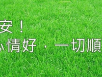 借口优美的句子