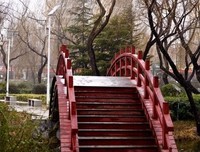  早上见