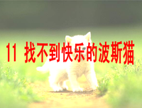 关于波的子猫的优美句子