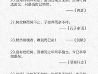 关于子瓜15句经典名言