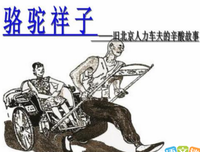 最新的《龙与虎》好段摘抄大全
