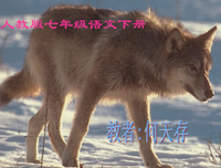 关于何异的语句